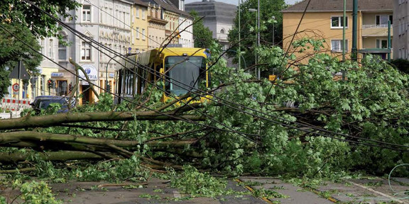 Ela-Schäden Straßenbahn Ela-Schäden: Straßenbahn steht vor einem umgefallenen Baum