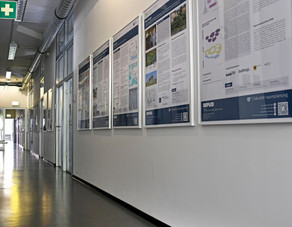 Teaserbild Institution IRPUD-Flur mit Plakaten