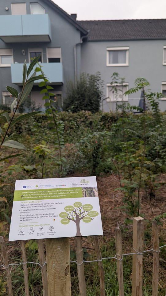 Ortsbesichtigungen und implementierte Maßnahmen Ortsbesichtigungen und implementierte Maßnahmen