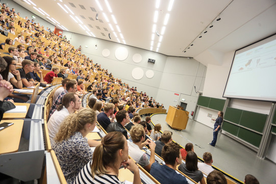 Studierende sitzen in einer Vorlesung im Hörsaal. 